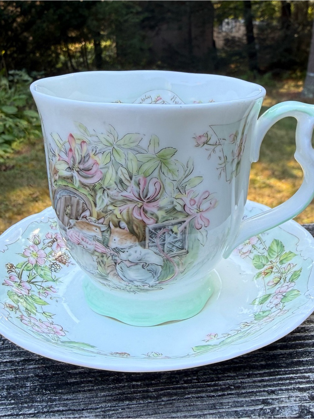Royal Doulton Brambly Hedge Teacup and Saucer “Summer”Bone China 1983
